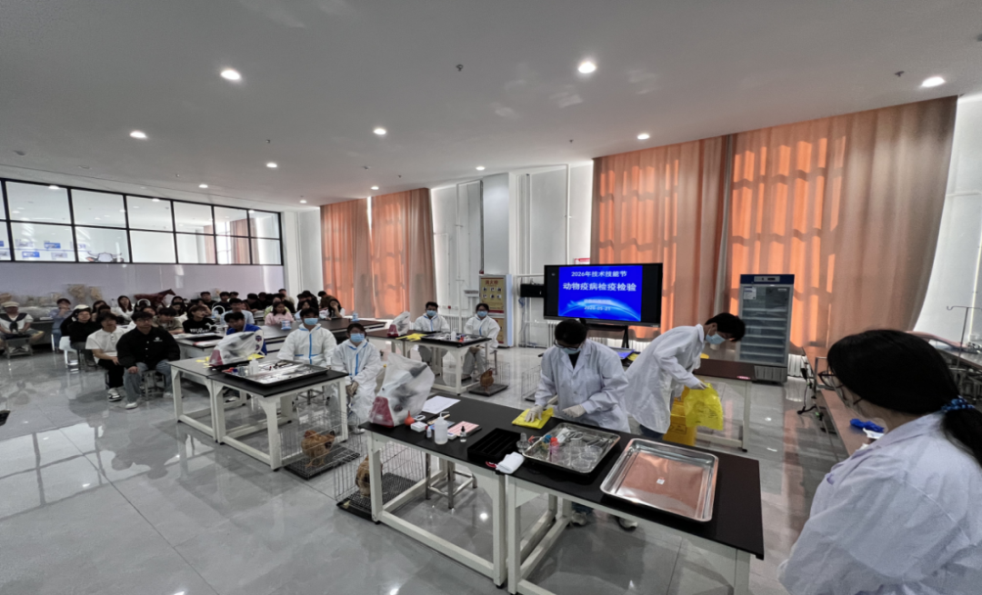 职教活动周 | 技能竞技展风采 匠心育人促成长——动物科学学院举办多项技能竞赛